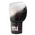 TITLE Boxing Platinum Power Bag (12oz) Черные с серым